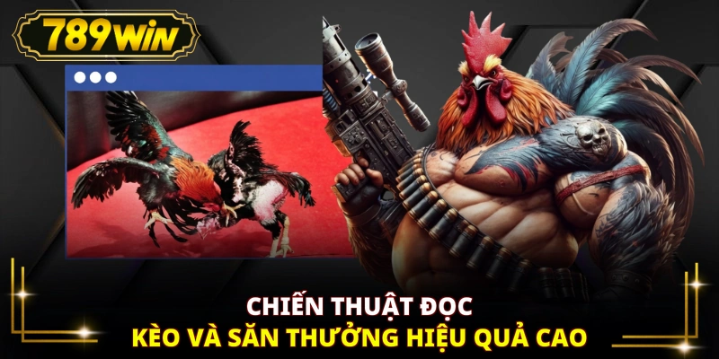 Chiến thuật đọc kèo và săn thưởng hiệu quả cao